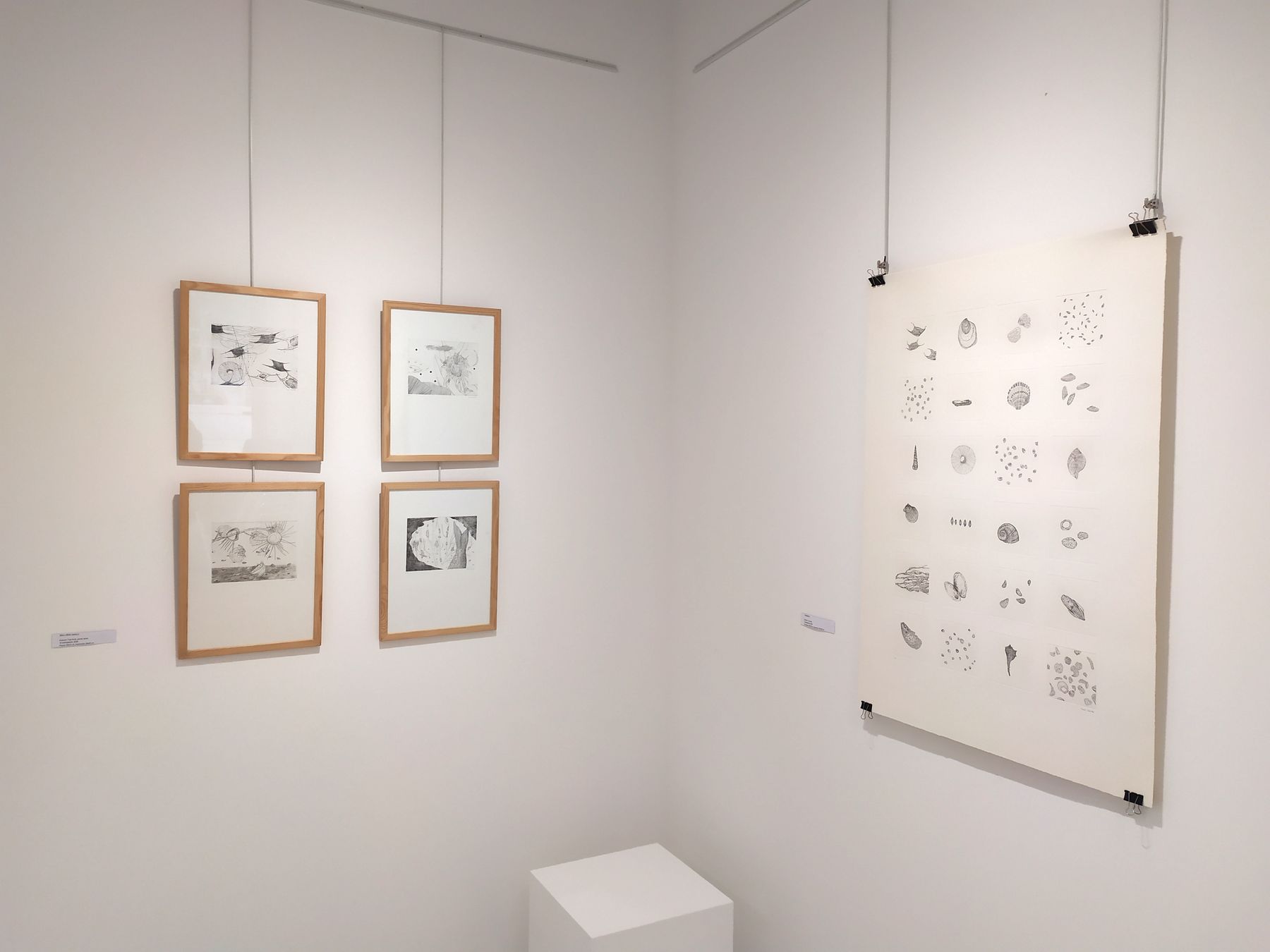 Exposition A - 1